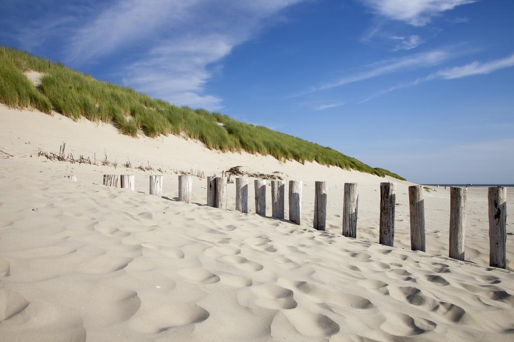 Time-Out Met Zonnig Terras, Eigen Keuken, Dichtbij Dorp, Duinen, Strand En Vuurtoren , Incl Verwarmd Hotel-Zwembad ホルム 部屋 写真