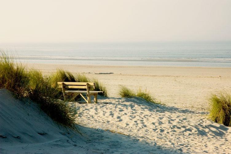 Time-Out Met Zonnig Terras, Eigen Keuken, Dichtbij Dorp, Duinen, Strand En Vuurtoren , Incl Verwarmd Hotel-Zwembad ホルム エクステリア 写真