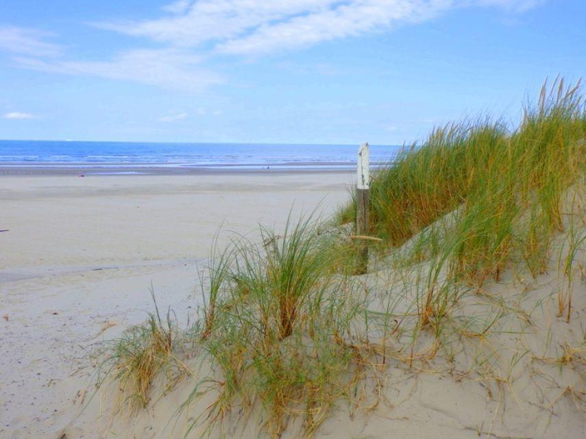 Time-Out Met Zonnig Terras, Eigen Keuken, Dichtbij Dorp, Duinen, Strand En Vuurtoren , Incl Verwarmd Hotel-Zwembad ホルム エクステリア 写真