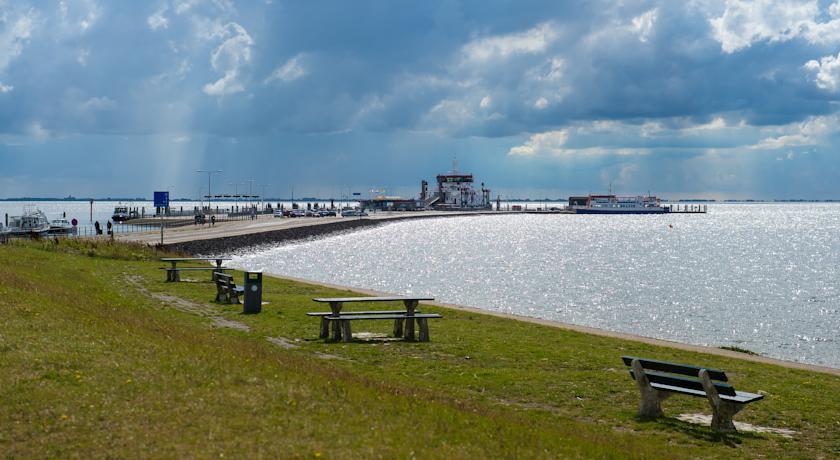 Time-Out Met Zonnig Terras, Eigen Keuken, Dichtbij Dorp, Duinen, Strand En Vuurtoren , Incl Verwarmd Hotel-Zwembad ホルム エクステリア 写真