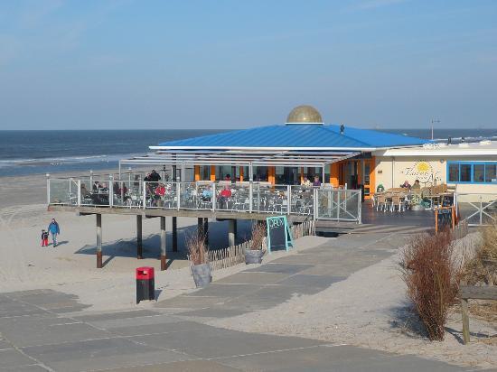 Time-Out Met Zonnig Terras, Eigen Keuken, Dichtbij Dorp, Duinen, Strand En Vuurtoren , Incl Verwarmd Hotel-Zwembad ホルム エクステリア 写真