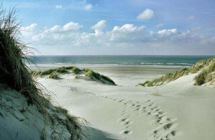 Time-Out Met Zonnig Terras, Eigen Keuken, Dichtbij Dorp, Duinen, Strand En Vuurtoren , Incl Verwarmd Hotel-Zwembad ホルム エクステリア 写真